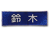 NT-325