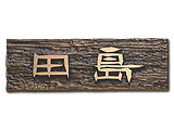 NT-4